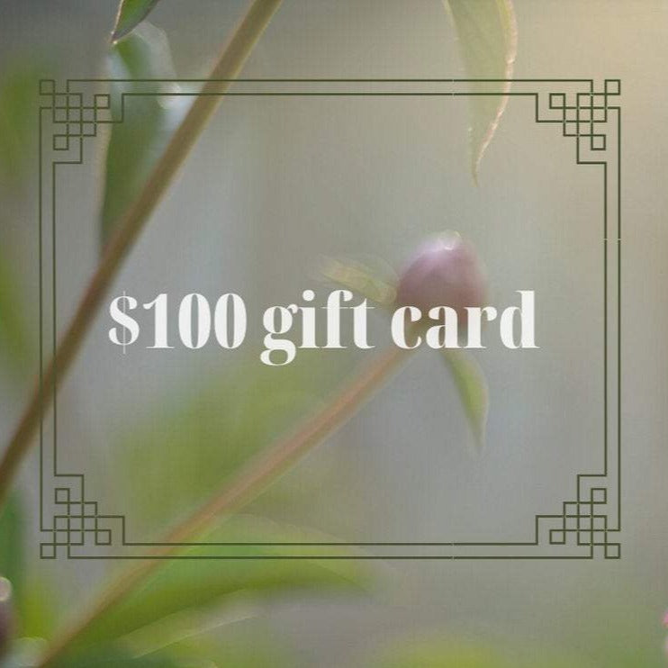 Page of Air Gift Certificate // 100USD