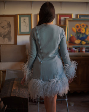 Ostrich Feather Dress - 58 For Sale on 1stDibs  ostrich dress, ostrich  feather trim dress, dress with ostrich feathers